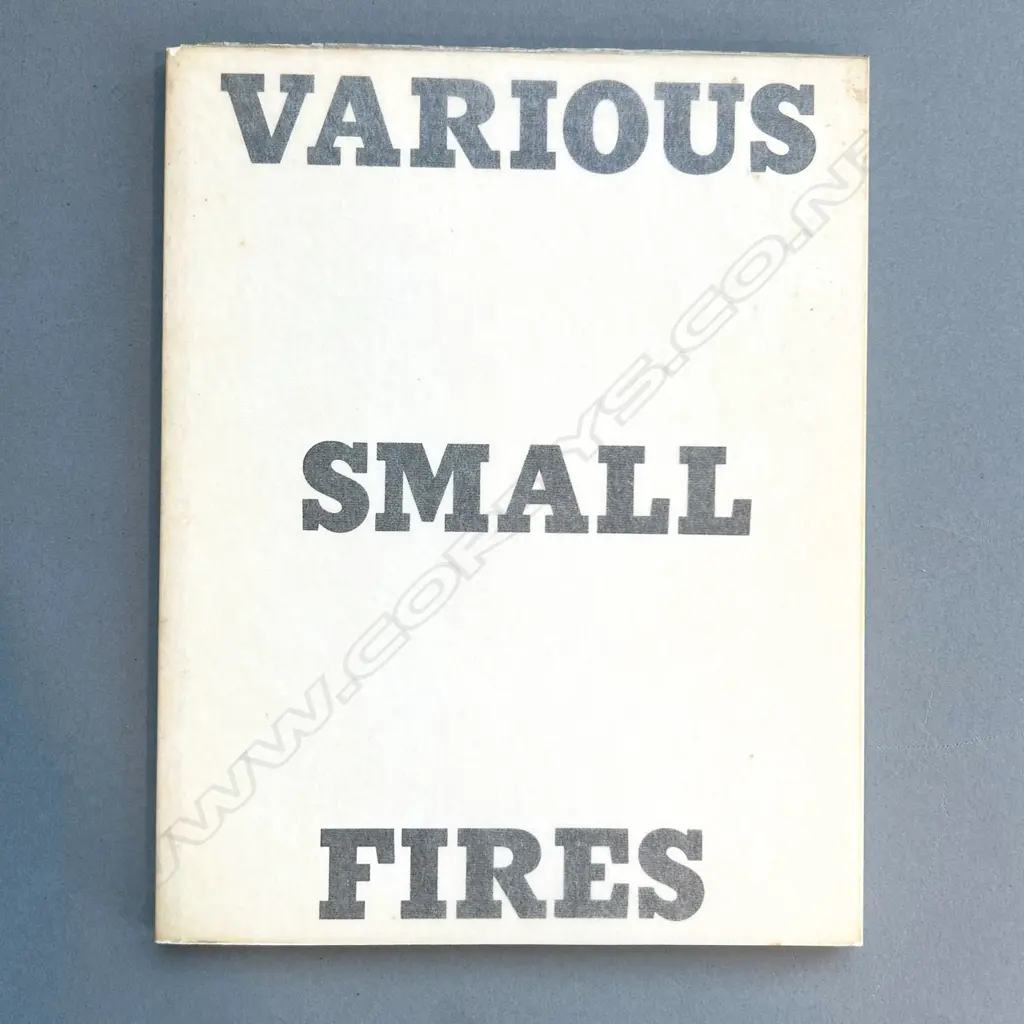 EDWARD RUSCHA: VARIOUS SMALL FIRES Image 1++